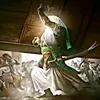 alihussien7566
