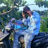 kal.dn5