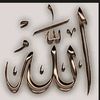 user3393428000877