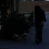 rokhsareh0amf