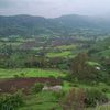 amhara.damot