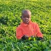 mwangi.kamande4
