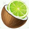 thelimeandcoconut