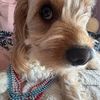izzie_642