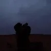 _r2kn
