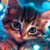 joly.jojo5
