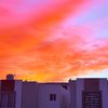 aranza_7575