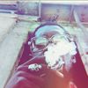 dready6ix6