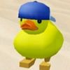randomman520