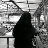 anetha_333338484