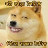 md.noyon6128