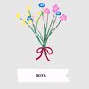boya101749