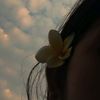 afrin_6543