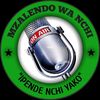 mzalendo_wa_nchi
