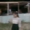 aphii_578