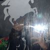 user060810190308