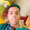 user4461146129205