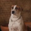 grace_141267