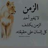 nada.ayman056