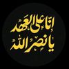 roro_alzein
