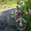 enginer_tuannguyen