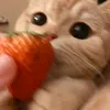 itsanding_