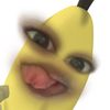 snwpaa_