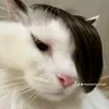 em.sang.thch.cu.c