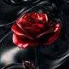 aysoltan.arslanow