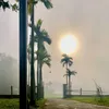 phamcongdung0503