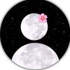 ___saifa___49