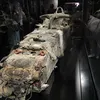 stebasaurus692.0