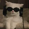 tim.mal4