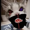 latuan55