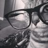 miaumiau_luv