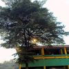 danangsukagrowagarden