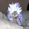 akijiroperater258