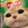 khafidz233