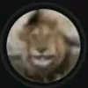 vikkslov
