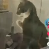 _728300