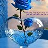 gulzarahmad7917