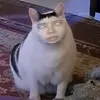 pvyyeumeoo