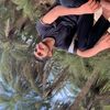 .khokhar208