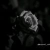 faisal.zardari3