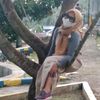 story_wa_30dtk