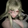 asllso_01