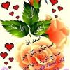 howayda.mahmoued