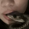 dihskswon_