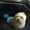 fredthebrit