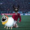 nikishkin11